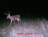 game camera 018.JPG