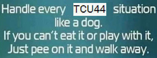 tcu.jpg