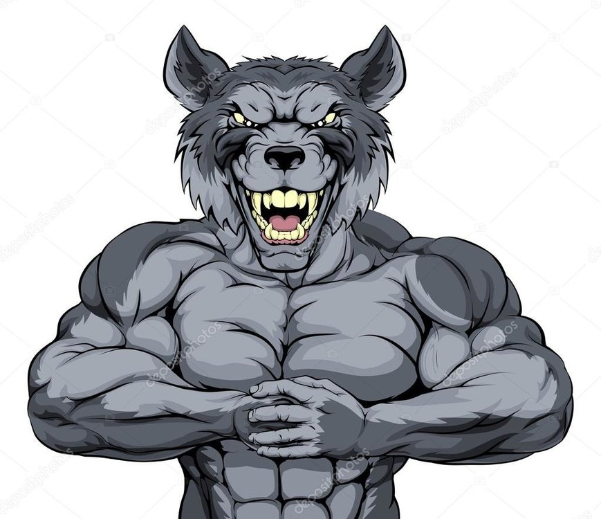 depositphotos_90680792-stock-illustration-mean-wolf-sports-mascot.jpg