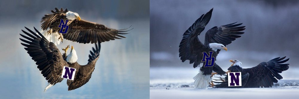 Eagle vs Eagle .jpg