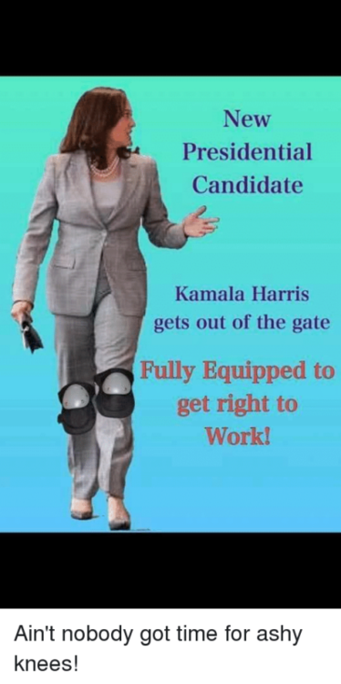 new-presidential-candidate-kamala-harris-gets-out-of-the-gate-40770548.png_cf.thumb.png.6c2fbec5b360f629601fafe5742570b8.png