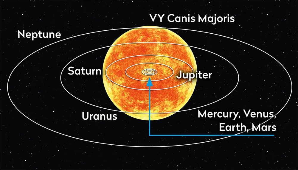 vy-canis-majoris-vs-solar-system-29a2645.jpg